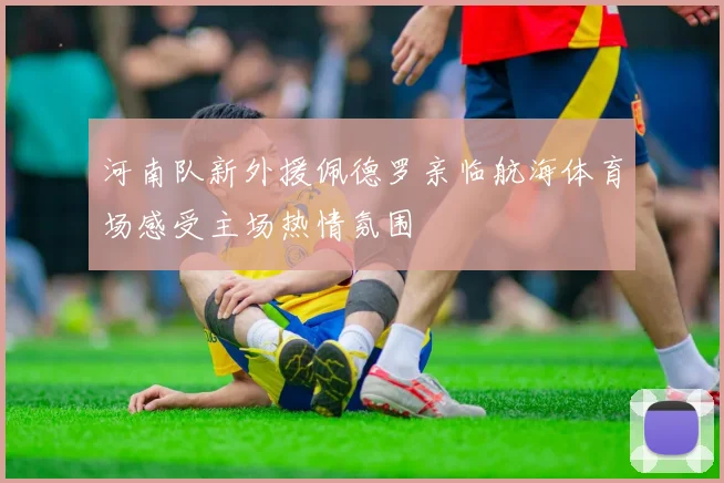 河南队新外援佩德罗亲临航海体育场感受主场热情氛围