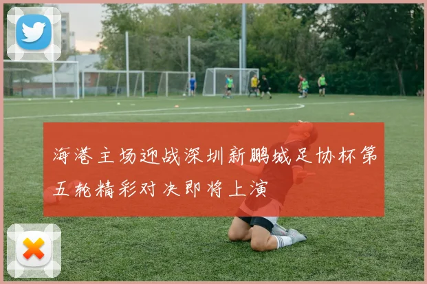 海港主场迎战深圳新鹏城足协杯第五轮精彩对决即将上演
