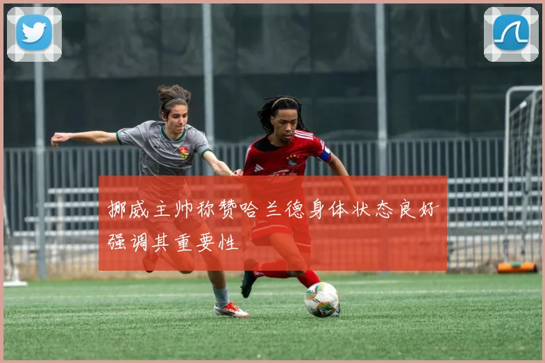 挪威主帅称赞哈兰德身体状态良好强调其重要性
