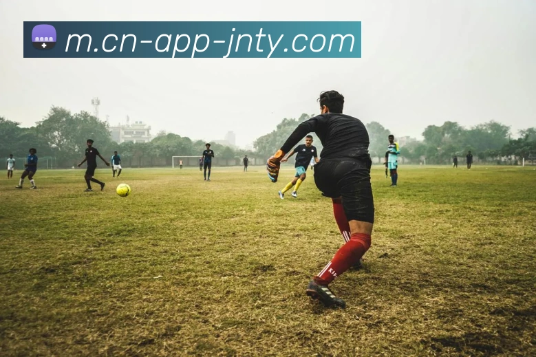 奖项证书